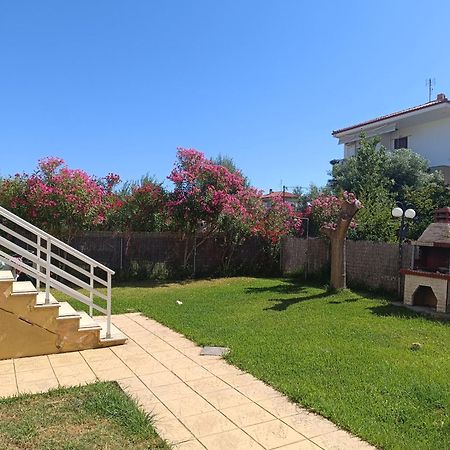 Dimar1 Seaside Apartment Paralia Dionisiou Eksteriør billede