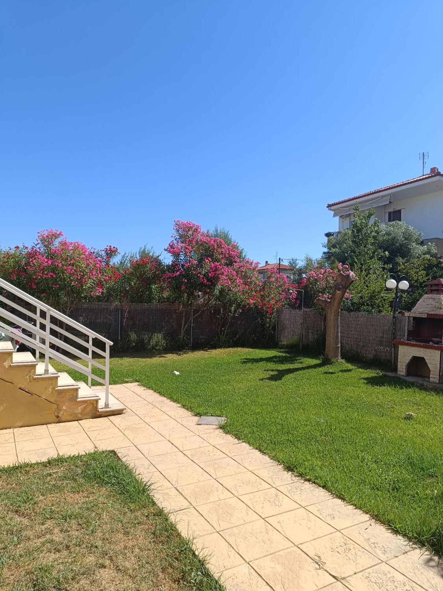 Dimar1 Seaside Apartment Paralia Dionisiou Eksteriør billede